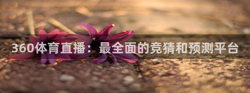 360体育直播：最全面的竞猜和预测平台